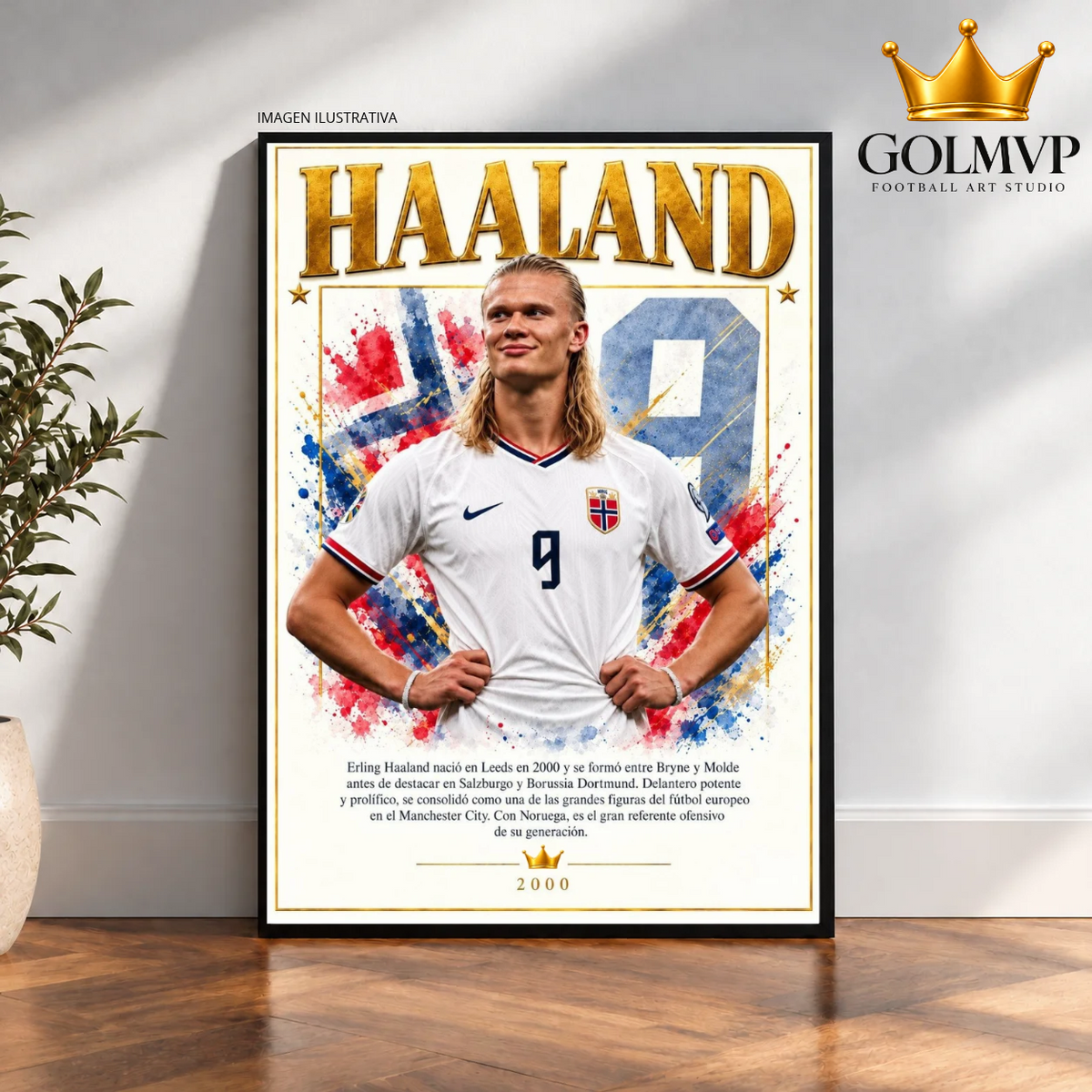 Erling Haaland x Noruega