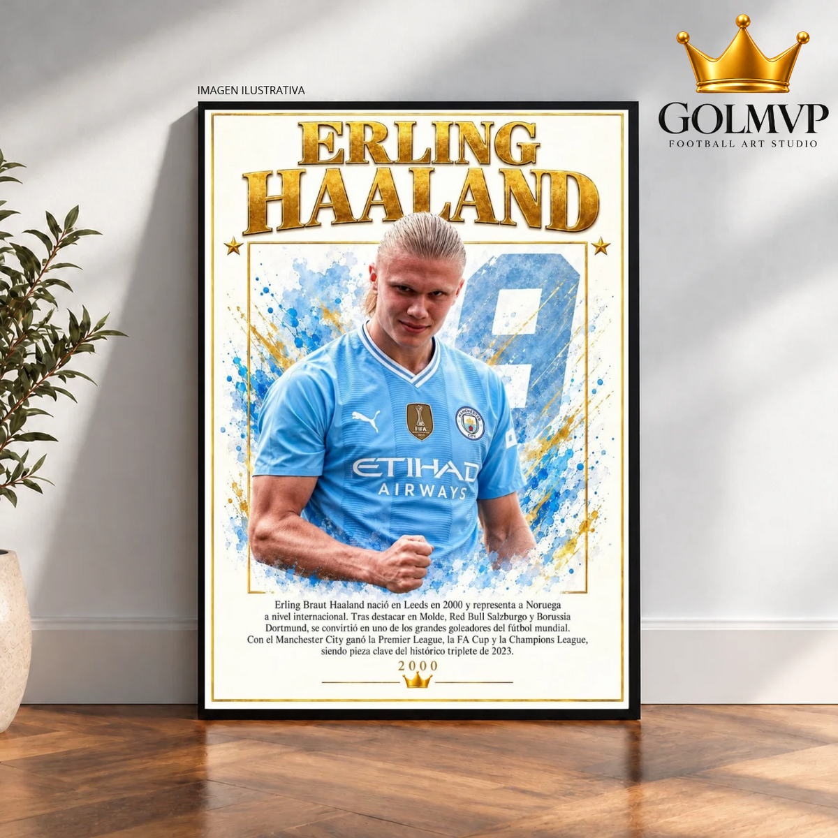Erling Haaland x Manchester City