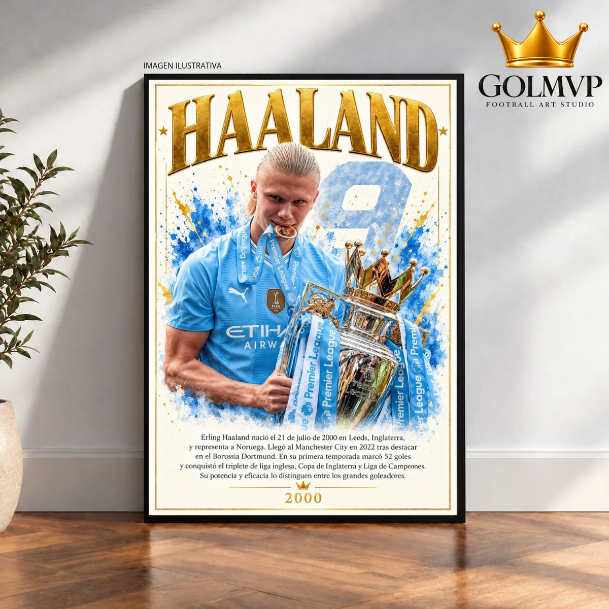 Haaland x Manchester City